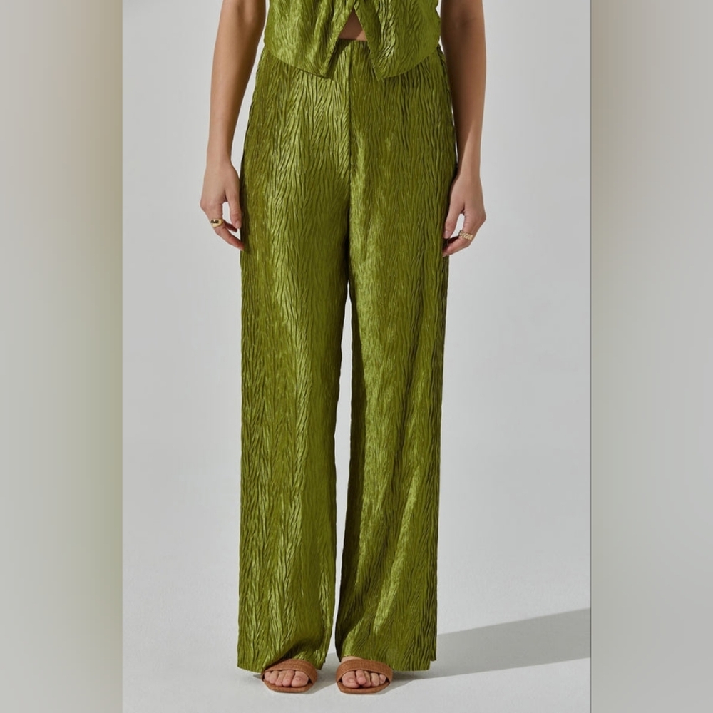 Astr Textured Green Wide Leg Pants Size Xs Nwt